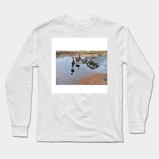 ducks in the park photograph Long Sleeve T-Shirt